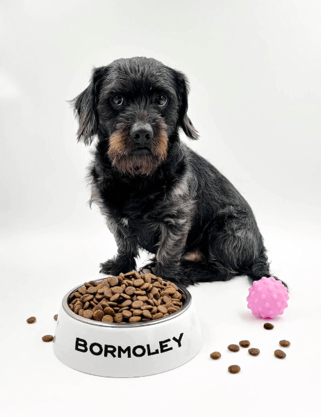 Posuda za Psa s Tiskom po Želji ili Natpisom | Nehrdajuci