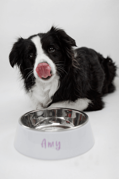 Posuda za Psa s Tiskom po Želji ili Natpisom | Nehrdajuci