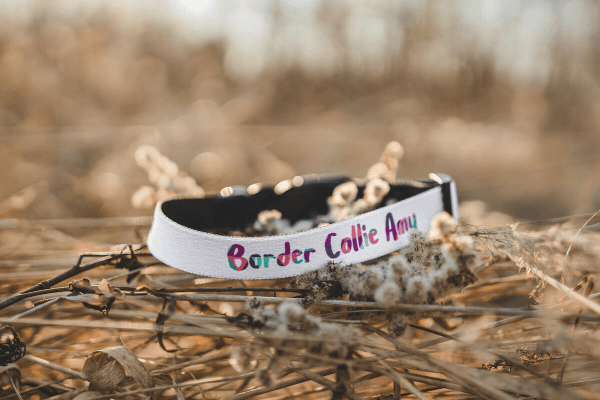 Prilagodljiva Ogrlica za Pse s Tiskom (S) | Puppynator.hr