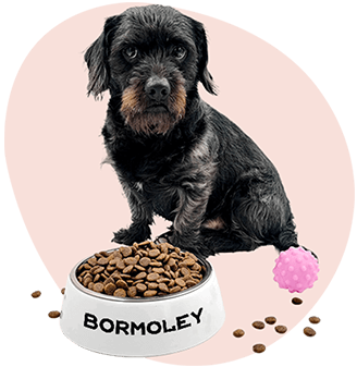 Posuda ili Marama za psa s tiskom